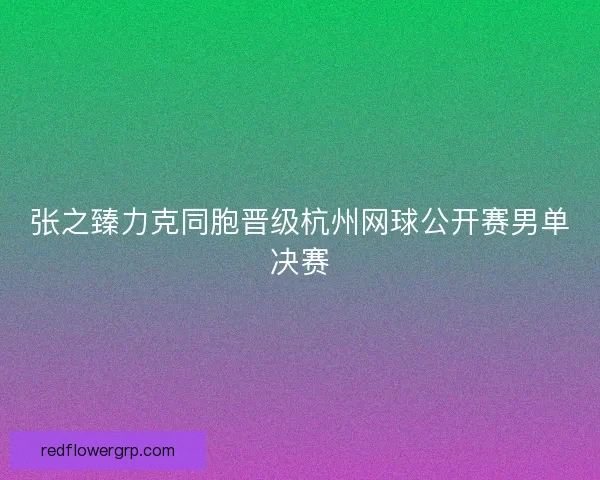 张之臻力克同胞晋级杭州网球公开赛男单决赛